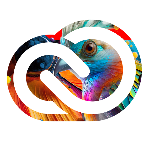 Amplify Your Business Creativity with Adobe Creative Cloud for Teams